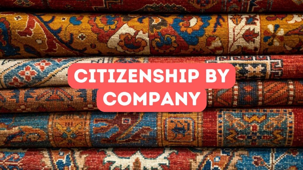الجنسية التركية عن طريق الشركة
