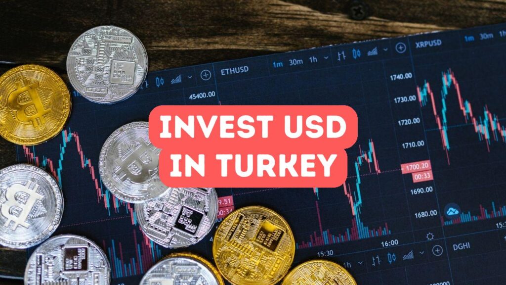 استثمر الدولار في تركيا
