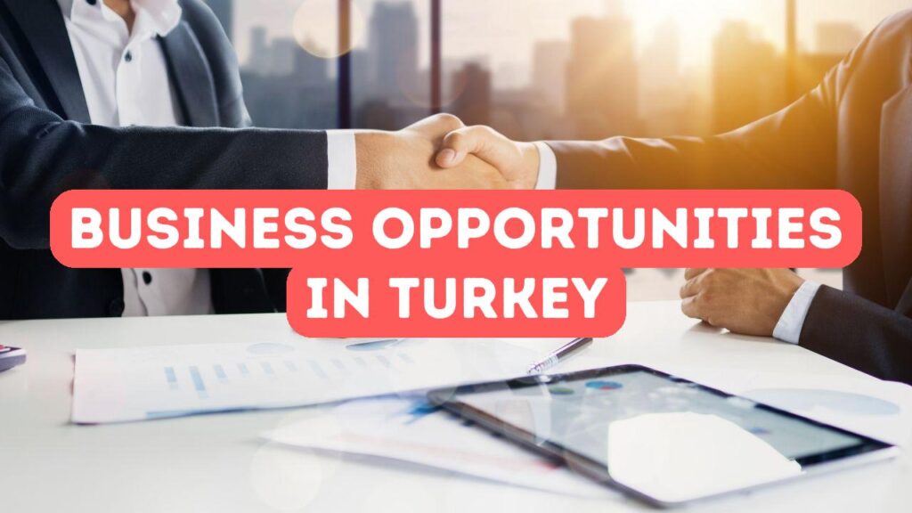 Возможности для бизнеса в Турции