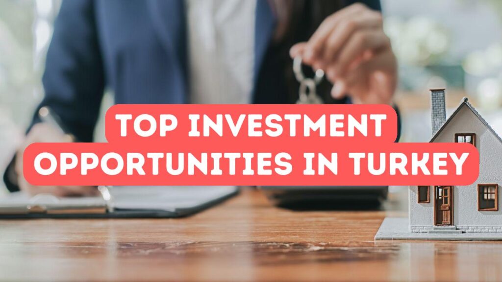 Meilleures opportunités d’investissement en Turquie